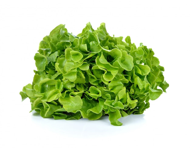 Fresh salad lettuce isolated 