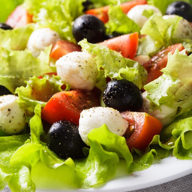 Fresh salad with mozarella cheese and vegetables