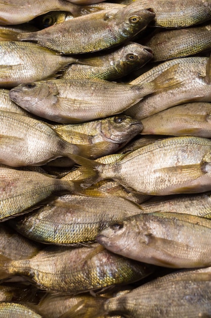 魚市場で販売される新鮮な魚