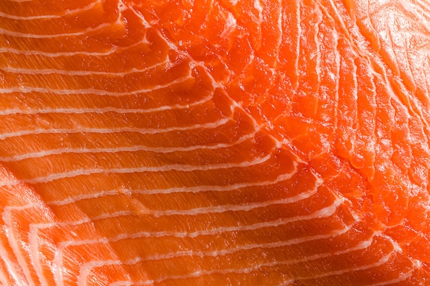 Fetta di color salmone fresca molto vicino in su. sfondo di frutti di mare.