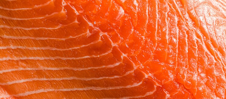 Fresh salmon slice very close up. seafood background.