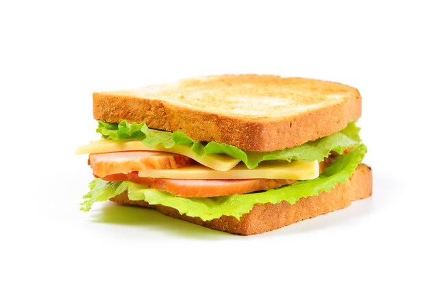 Fresh sandwich isolated