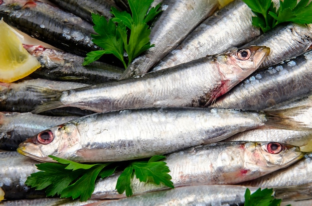 Fresh sardines