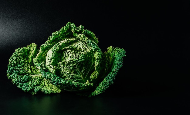 Fresh savoy cabbage on black background