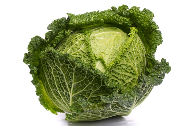 Fresh savoy cabbage