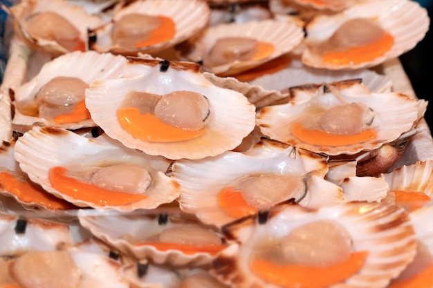 Fresh scallops clams at fish market