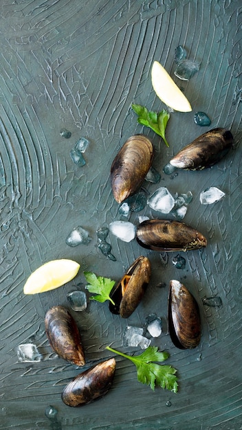 Fresh sea mollusks on a dark stone or slate surface Top view with a copy