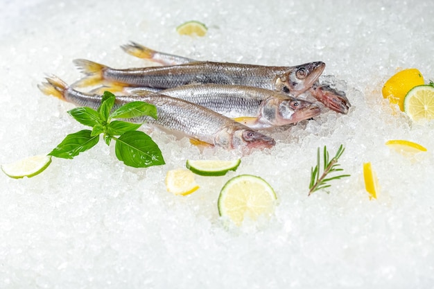 fresh sea ocean red and white fish, lies on ice, with its head, cherry, slices of lemon and lime are