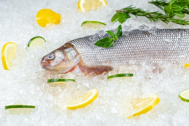 fresh sea ocean red and white fish, lies on ice, with its head, cherry, slices of lemon and lime are