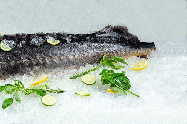 Fresh sea ocean sturgeon fish, lies on ice, without and with a head, cherry slices of lemon and lime