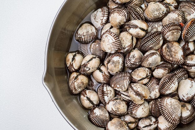 Fresh seafood cockles in a bowl