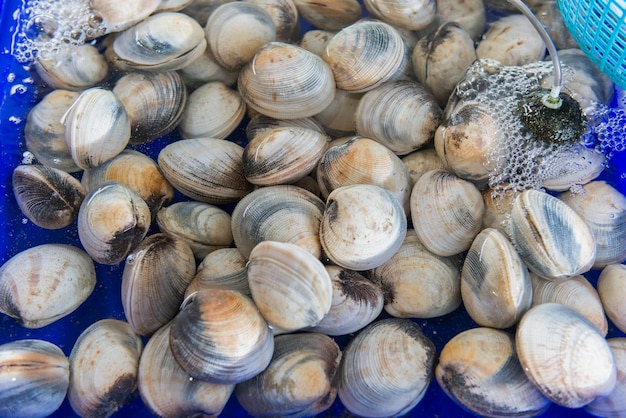 Photo fresh seafood in the market