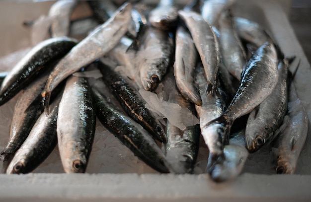 Photo fresh seafood sale fresh fish on ice at the fish market