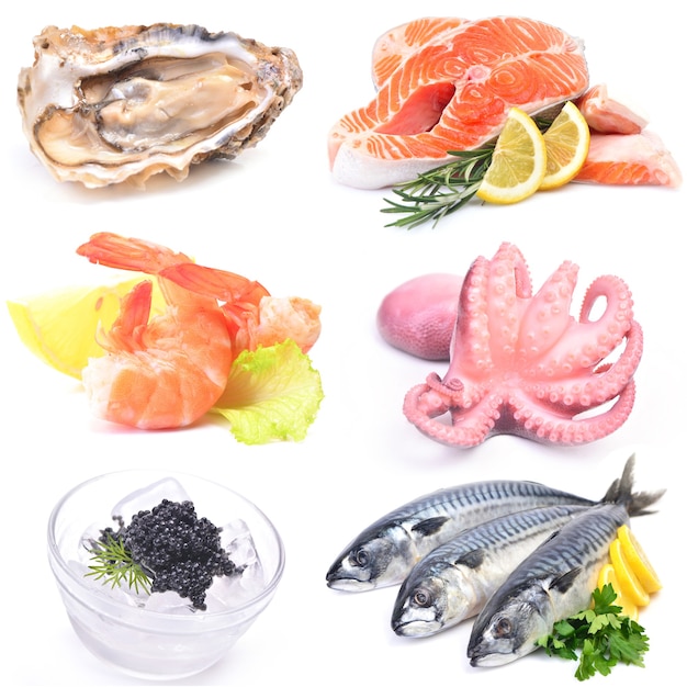 fresh seafood