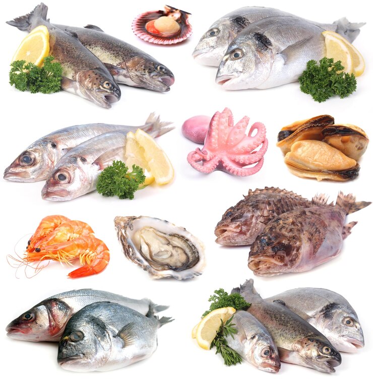 Photo fresh seafood