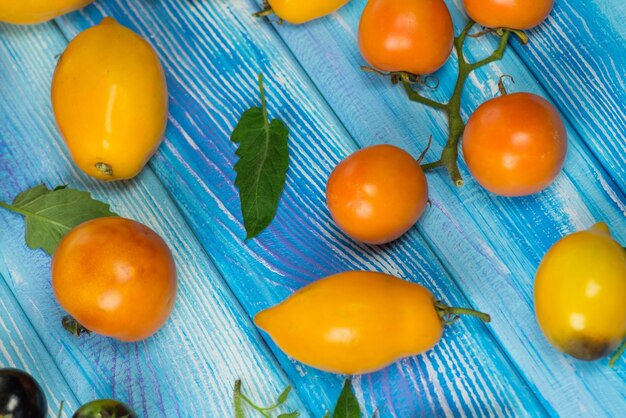 Fresh seasonal locally grown vegetables group of fresh tomatoes on a blue wooden background