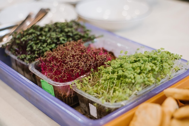 Fresh seedlings for dish at the restaurant