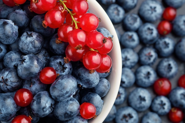 Fresh selected blueberries and red currant in bowl, close-up