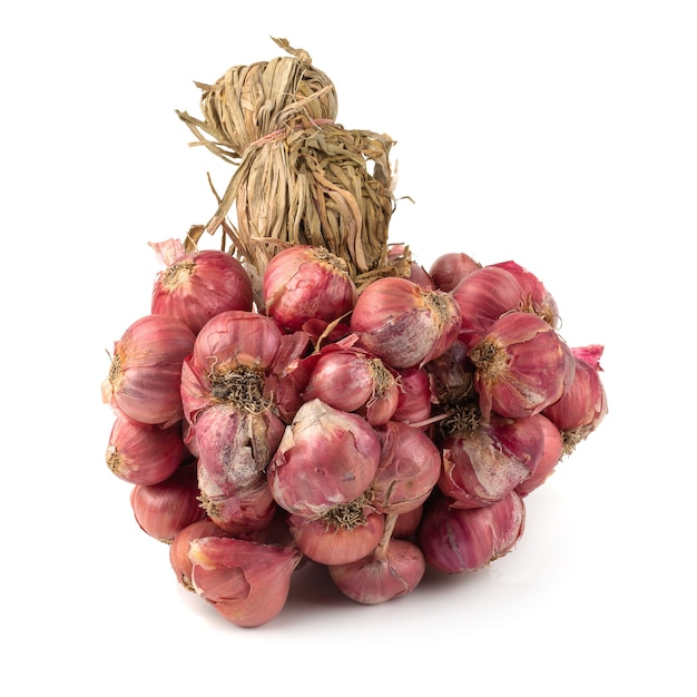 Fresh Shallots isolated on a white background