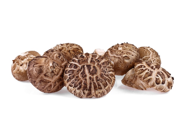 Fresh Shiitake mushroom on white background