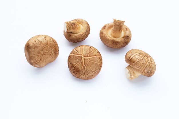 Fresh shiitake mushrooms on white background.