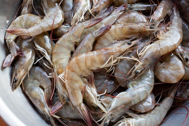 Fresh shrimp from freshwater