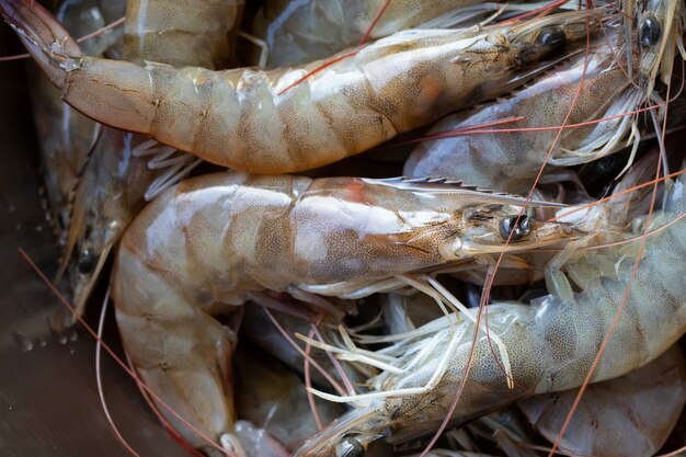 The Fresh shrimp lots of from freshwater befor Grill