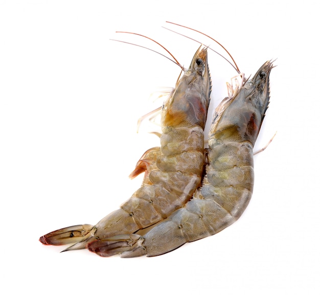 Fresh shrimp/prawn on white background