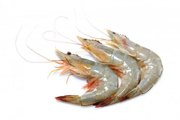 Photo fresh shrimp,prawn