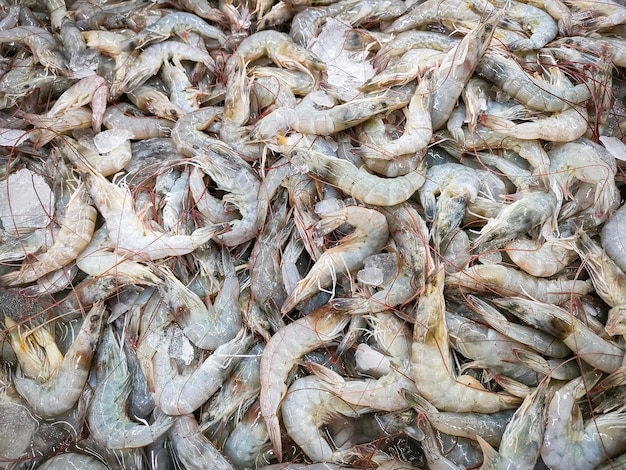 Fresh shrimp prawns for sale in the market seafood restaurant raw shrimps on ice