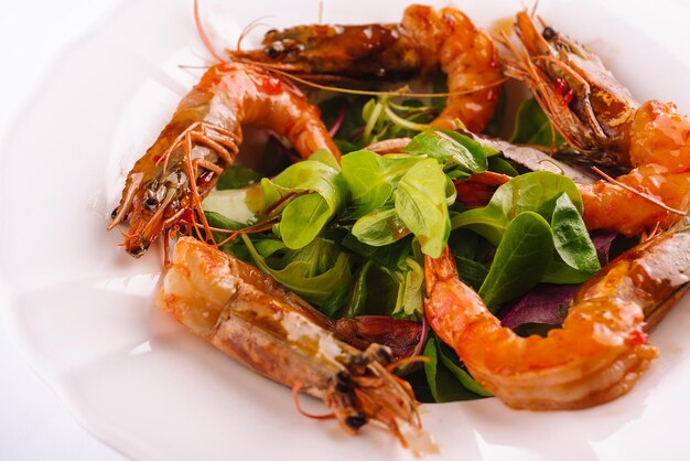 Fresh shrimp salad closeup on plate