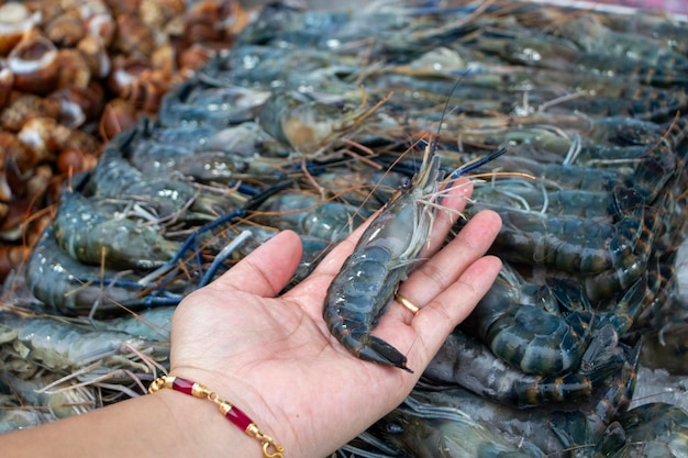Foto shrimp freschi sullo scaffale nella mano della casalinga che compra cibo fresco