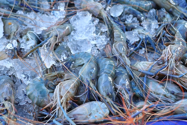 fresh shrimp at street food