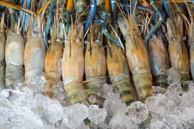 Foto gamberetti freschi su ghiaccio nel mercato per fondo.