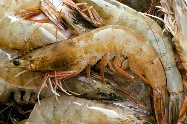 Fresh shrimps on the market