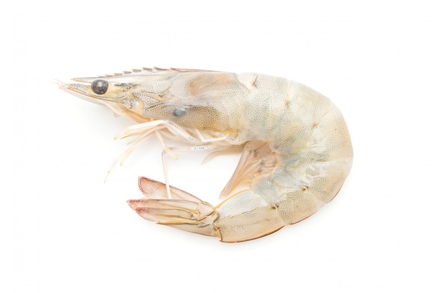 Photo fresh shrimps or prawns raw