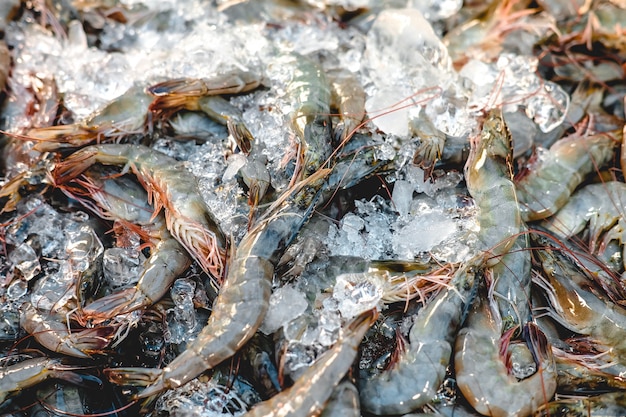 Fresh Shrimps or Prawns with ice in the market.