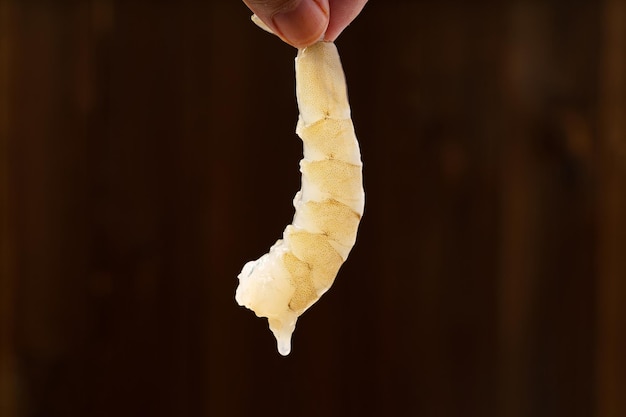 Photo fresh shrimps on a simple background