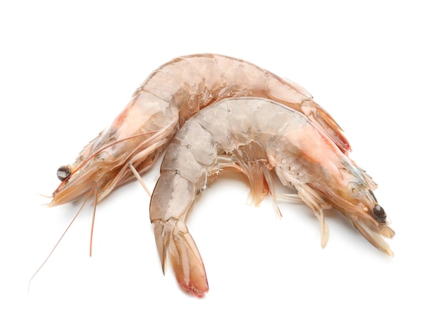 Fresh shrimps on white background