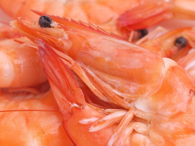 Fresh shrimps