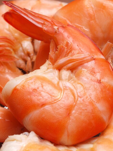 Fresh shripms closeups