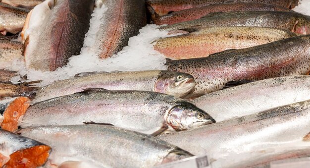 氷台の新鮮な銀魚 健康的なダイエット製品とビタミン クローズアップパノラマ形式