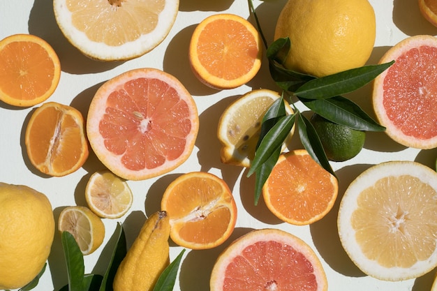 Fresh slices of different types of citrus Orange limelemon Grapefruit