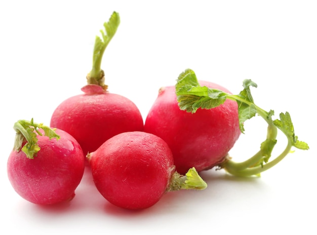 Fresh small radish over white background