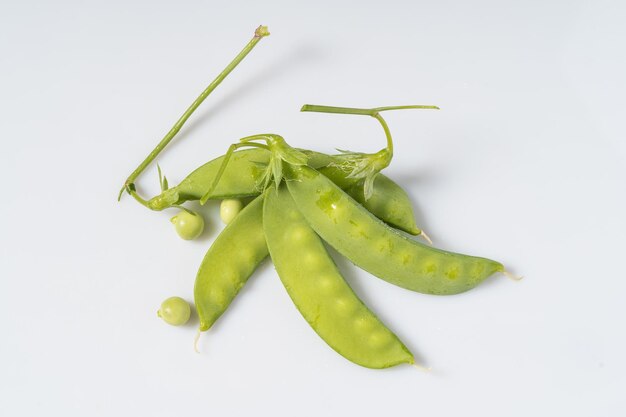 Fresh snow peas on monochrome background