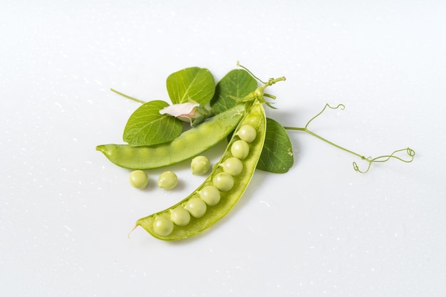 Fresh snow peas on monochrome background