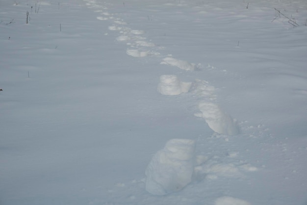 Photo fresh snow with traces of boots. footprint