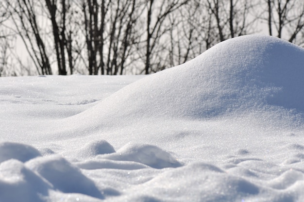 新鮮な雪