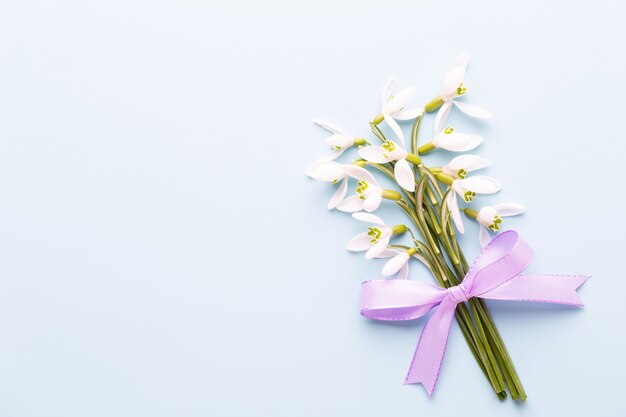 Fresh snowdrops on blue background with place for text. Spring greeting card. Mother day. Flat lay.