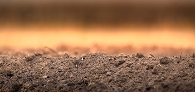 Fresh soil on the field, selective focus